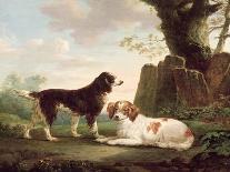 Two Spaniels in a Landscape-Charles Towne-Giclee Print