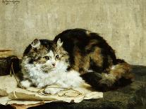 Kittens, 1893-Charles Van Den Eycken-Framed Art Print