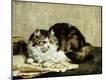 Giclee Print