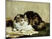 Giclee Print