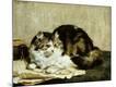 Giclee Print