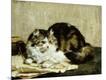 Giclee Print