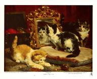 A Tabby Cat, 1920-Charles Van Den Eycken-Giclee Print