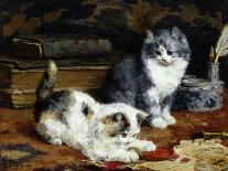 Kittens, 1893-Charles Van Den Eycken-Framed Art Print