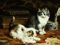 Kittens, 1893-Charles Van Den Eycken-Art Print