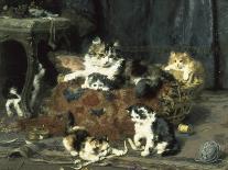 Kittens at Play-Charles Van Den Eycken-Giclee Print