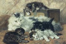 Kittens at Play-Charles Van Den Eycken-Giclee Print