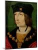 Charles VIII (1470-98) King of France-Jean Bourdichon-Mounted Giclee Print