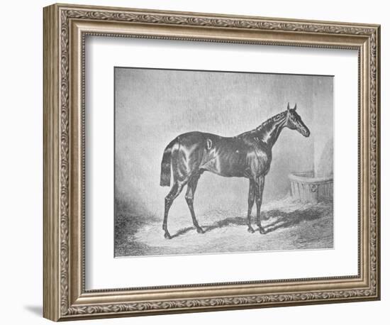 'Charles XII, Winner of the St. Leger' 1839, (1911)-Unknown-Framed Giclee Print