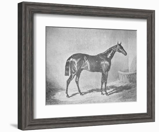 'Charles XII, Winner of the St. Leger' 1839, (1911)-Unknown-Framed Giclee Print