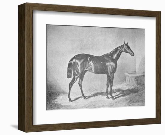 'Charles XII, Winner of the St. Leger' 1839, (1911)-Unknown-Framed Giclee Print