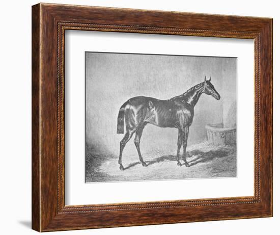 'Charles XII, Winner of the St. Leger' 1839, (1911)-Unknown-Framed Giclee Print