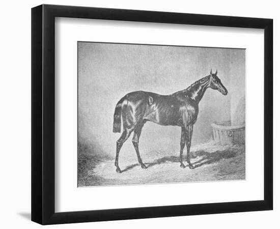 'Charles XII, Winner of the St. Leger' 1839, (1911)-Unknown-Framed Giclee Print