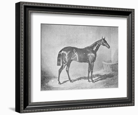 'Charles XII, Winner of the St. Leger' 1839, (1911)-Unknown-Framed Giclee Print