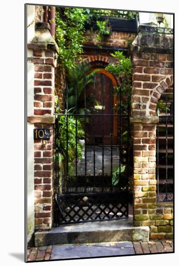 Charleston Hideaway 1-Alan Hausenflock-Mounted Photographic Print