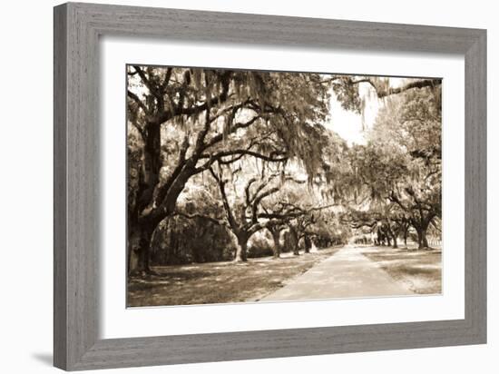 Charleston Oaks 10 Sepia-Alan Hausenflock-Framed Photographic Print