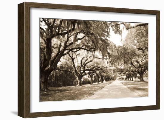 Charleston Oaks 10 Sepia-Alan Hausenflock-Framed Photographic Print