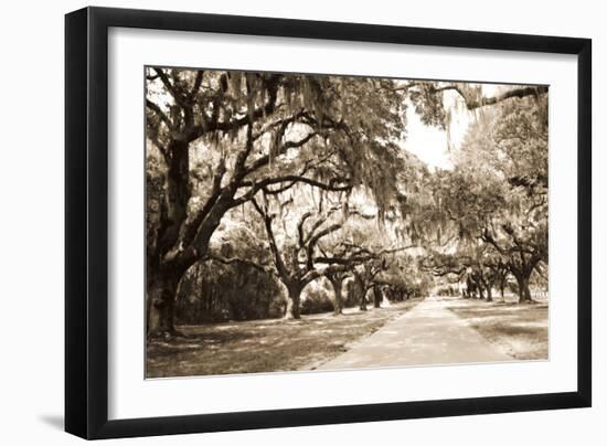 Charleston Oaks 10 Sepia-Alan Hausenflock-Framed Photographic Print