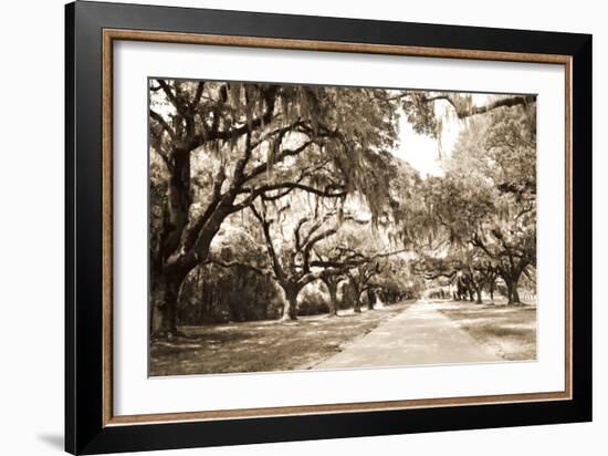 Charleston Oaks 10 Sepia-Alan Hausenflock-Framed Photographic Print