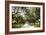 Charleston Oaks 1-Alan Hausenflock-Framed Photographic Print