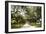 Charleston Oaks 1-Alan Hausenflock-Framed Photographic Print