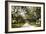 Charleston Oaks 1-Alan Hausenflock-Framed Photographic Print