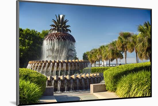 Charleston Pineapple Fountain-George Oze-Mounted Photographic Print