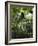 Charleston, South Caorlina, USA-Ethel Davies-Framed Photographic Print