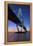 Charleston, South Carolina, Arthur Ravenel Junior Bridge, Cable-Stayed Bridge, Cooper River-John Coletti-Framed Premier Image Canvas