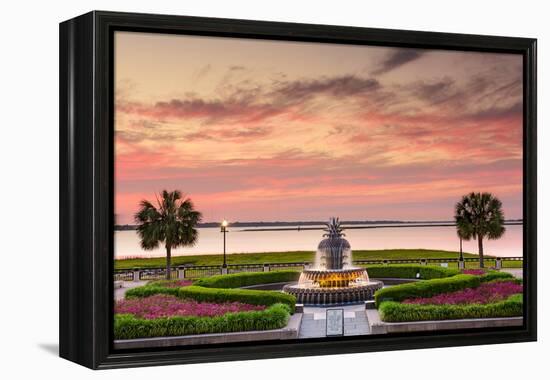 Charleston, South Carolina, USA at Waterfront Park.-SeanPavonePhoto-Framed Premier Image Canvas