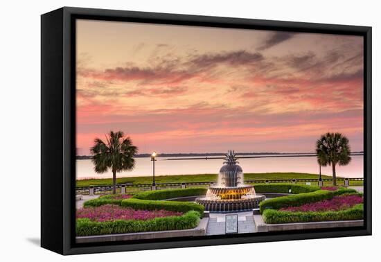 Charleston, South Carolina, USA at Waterfront Park.-SeanPavonePhoto-Framed Premier Image Canvas