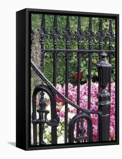 Charleston, South Carolina, USA-Adam Jones-Framed Premier Image Canvas