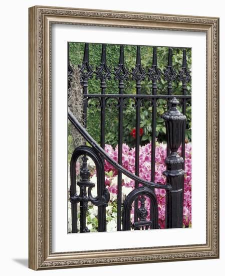 Charleston, South Carolina, USA-Adam Jones-Framed Photographic Print