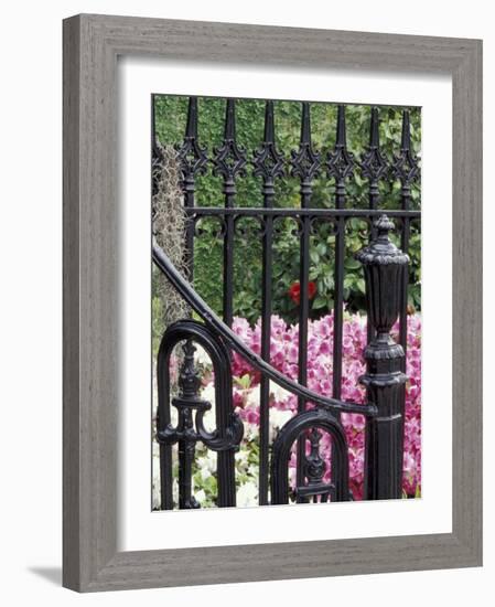 Charleston, South Carolina, USA-Adam Jones-Framed Photographic Print