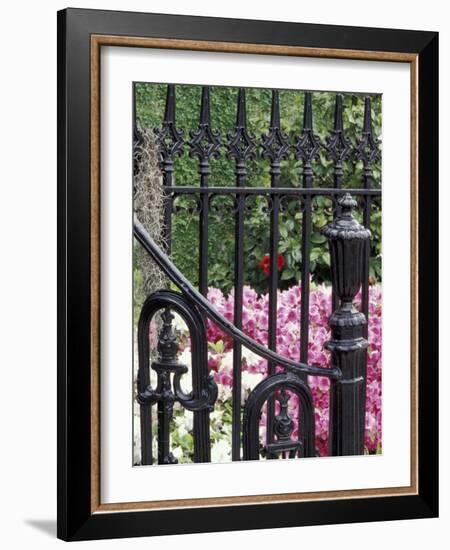 Charleston, South Carolina, USA-Adam Jones-Framed Photographic Print