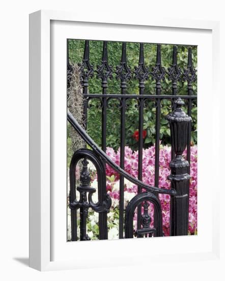 Charleston, South Carolina, USA-Adam Jones-Framed Photographic Print