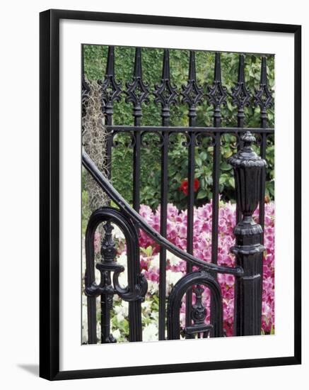 Charleston, South Carolina, USA-Adam Jones-Framed Photographic Print