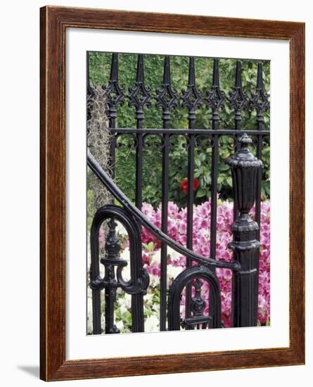 Charleston, South Carolina, USA-Adam Jones-Framed Photographic Print