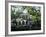 Charleston, South Carolina, USA-Adam Jones-Framed Photographic Print