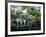 Charleston, South Carolina, USA-Adam Jones-Framed Photographic Print