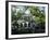 Charleston, South Carolina, USA-Adam Jones-Framed Photographic Print