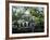 Charleston, South Carolina, USA-Adam Jones-Framed Photographic Print