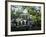 Charleston, South Carolina, USA-Adam Jones-Framed Photographic Print