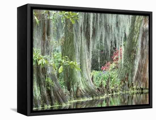 Charleston, South Carolina, USA-Adam Jones-Framed Premier Image Canvas