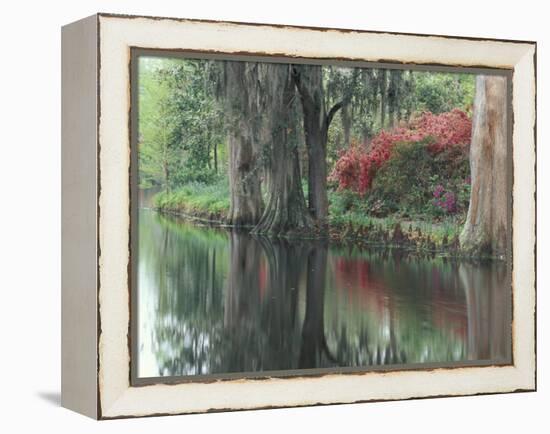 Charleston, South Carolina, USA-Adam Jones-Framed Premier Image Canvas