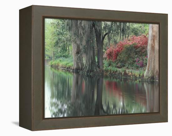 Charleston, South Carolina, USA-Adam Jones-Framed Premier Image Canvas