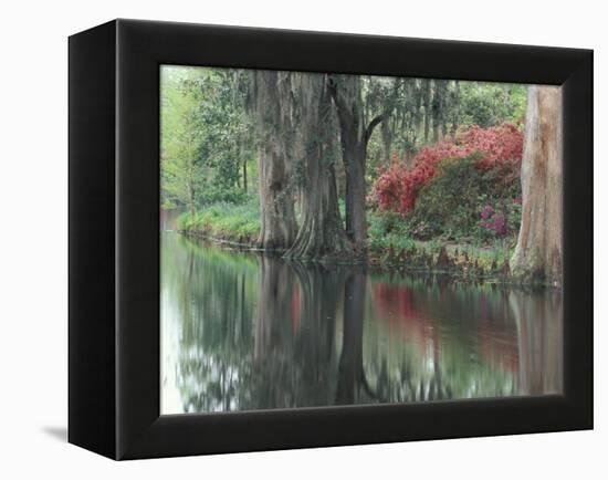 Charleston, South Carolina, USA-Adam Jones-Framed Premier Image Canvas