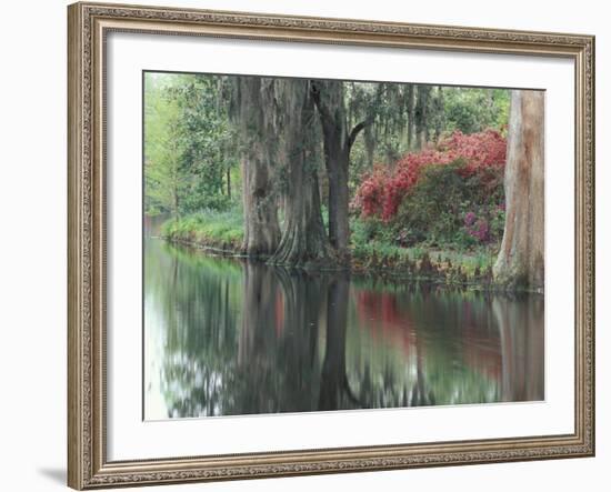 Charleston, South Carolina, USA-Adam Jones-Framed Photographic Print