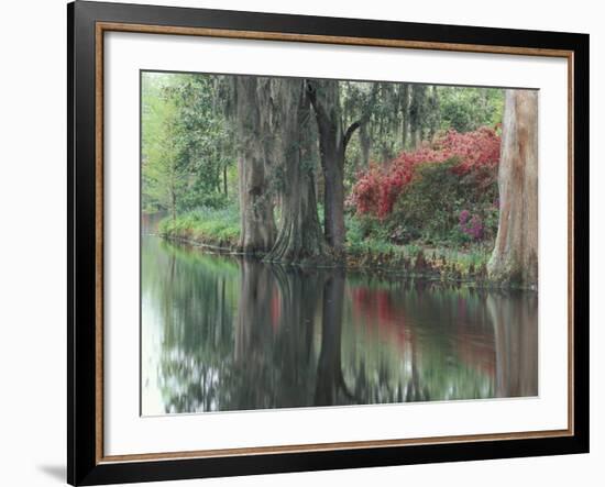 Charleston, South Carolina, USA-Adam Jones-Framed Photographic Print