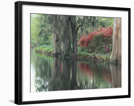 Charleston, South Carolina, USA-Adam Jones-Framed Photographic Print